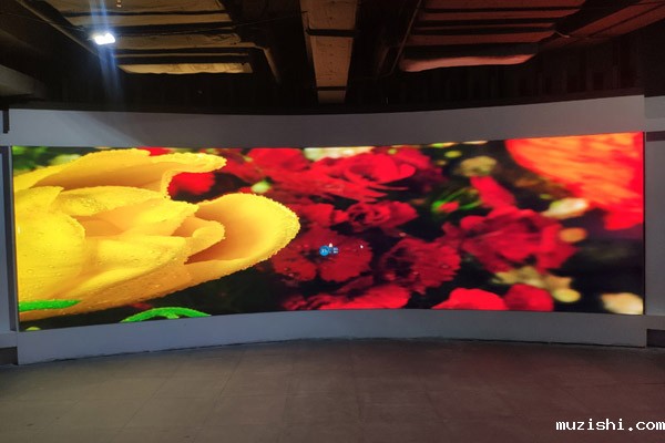 1612150463600717.jpg 2.jpg