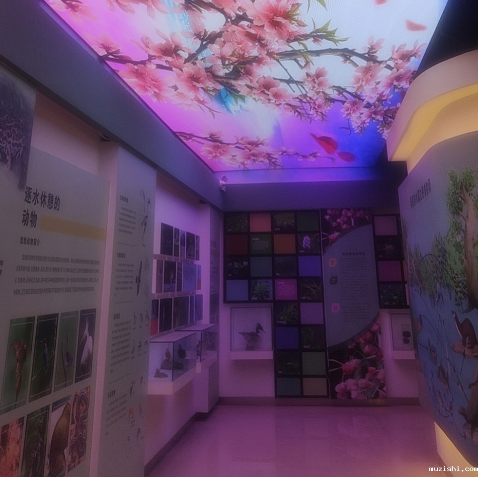 P2.5室内led天幕 山东省德州市民健身中心湿地科普馆31.13平方